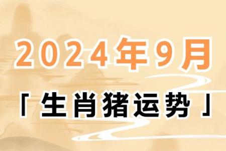 1995年属猪朋友，了解你的命理与未来运势！