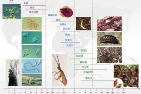 1970年出生的人命运特点：生命的多样性与挑战