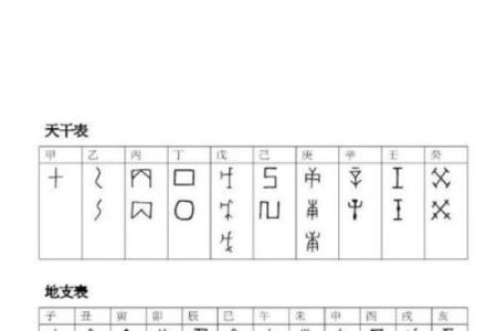 天干与地支的神秘之旅：命理解析与观察人生