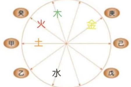 探秘六等命：命理与人生的深度解析
