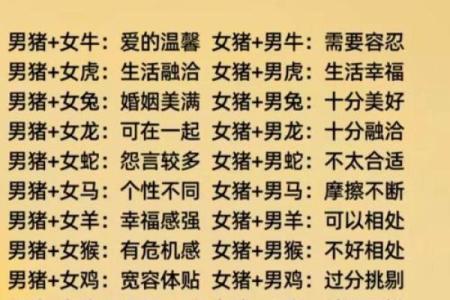 属相男命与女性的命理解析，如何选择合适伴侣？
