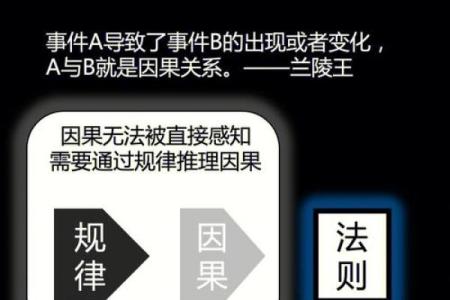 靠命运的人：揭示人生背后的秘密与选择