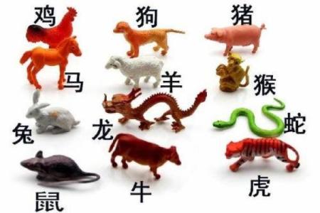 属猪的海水命：探秘这一独特命理的深层含义与应对之道
