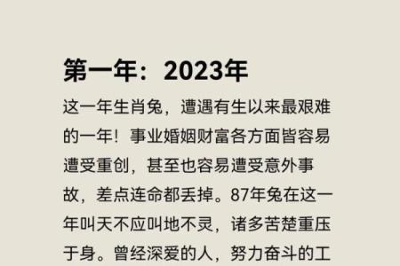 解析63年出生者的命运与性格特征，揭示生肖影响的秘密