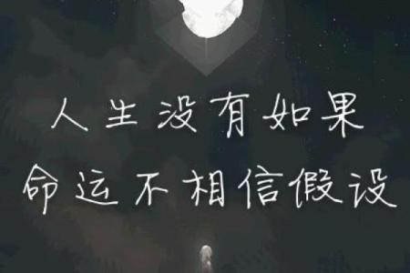 九头十三命：命运的游戏与人生的抉择