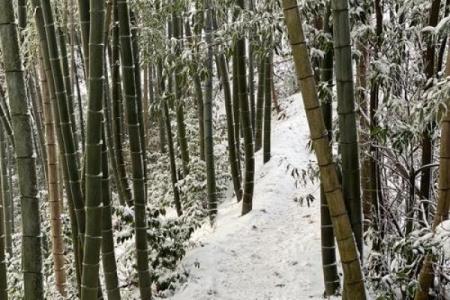 如何根据子命选择合适的山向建房，避开不利因素？