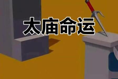 探秘94年腊月十六：命运与星辰的奇妙交织