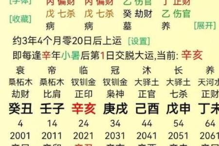 壬子年命理解析：看星座与命运的神秘联系