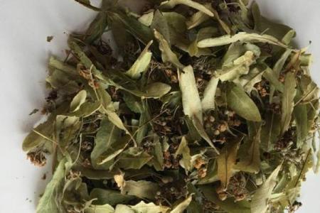 蒲公英的土命——自然之子与人类的友谊