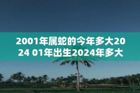 探寻2001年属蛇人的命运与性格特征