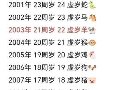 24虚岁属什么命？深入解析你的命运与未来