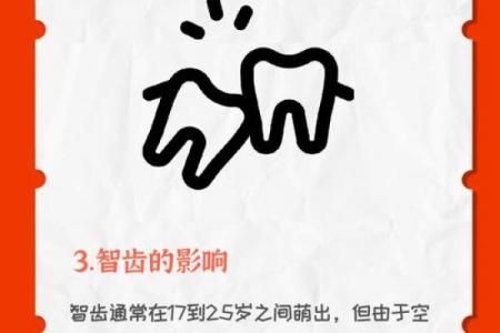 20颗牙齿的命运：从口腔健康看人生哲学