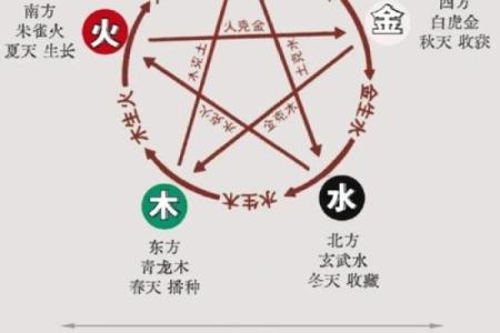 你知道你的命运属于什么吗？探索五行与命理的奥秘！