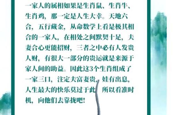 探析2016年属鼠人的命运与性格特征，开启新人生！