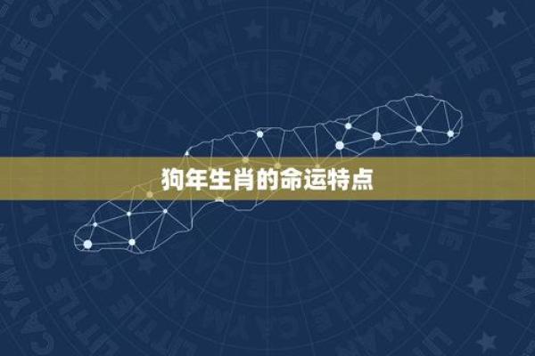 2006年狗年出生的人命运影响与性格分析