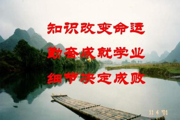 宋美英命理揭秘：她的命运与成就背后的故事