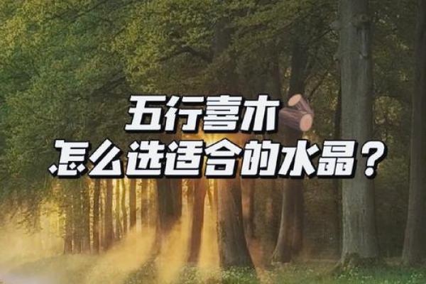 男士木命该如何选择水晶？这几种让你精神焕发！