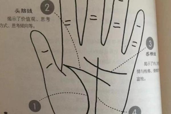 手掌面的手纹解密：命运之线与人生轨迹的秘密