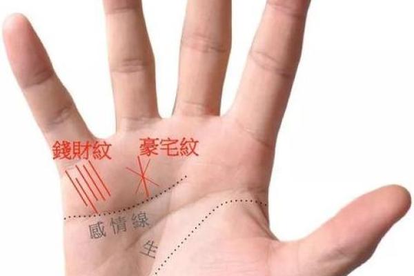 手掌面的手纹解密：命运之线与人生轨迹的秘密