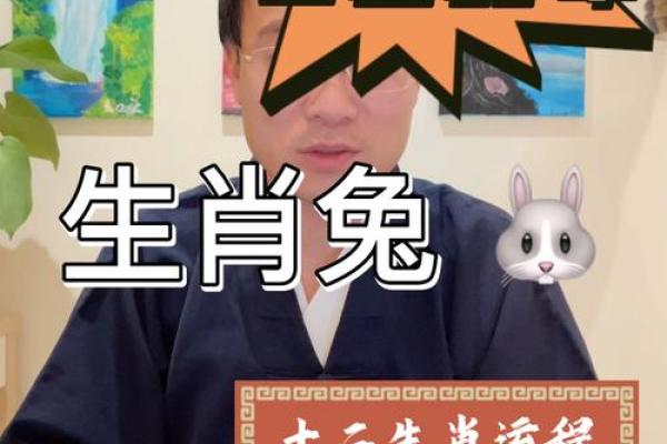 属兔人的命运解析：细腻与灵巧的生活之道
