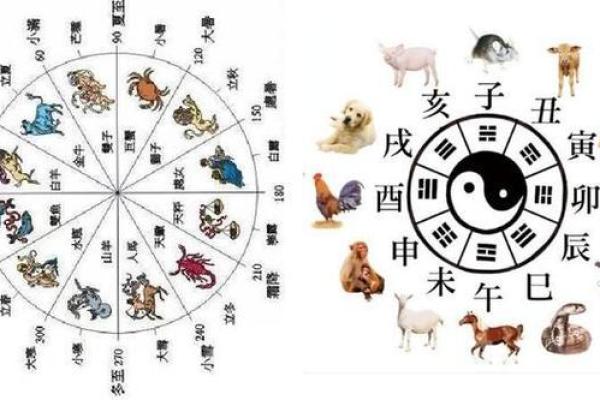 1972年正月：生肖与命理的奇妙结合，探秘你的命运之星
