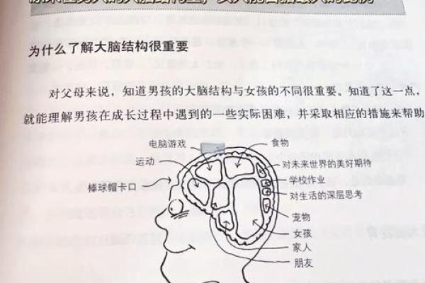 探秘命格：长相柔弱男孩的多彩人生与成长之路