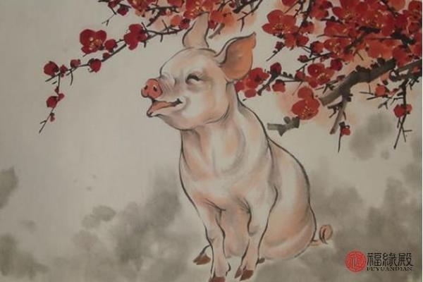 七十年代的“金猪”：1971年出生之人的命运揭秘