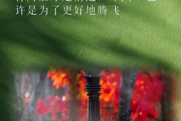 看图思语：从自然风光中领悟生活的哲理与美好