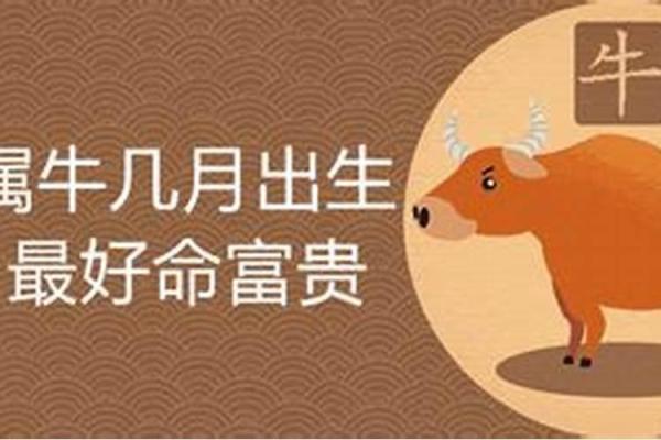 求签碧玉命解析：探索命运与运势的微妙关系