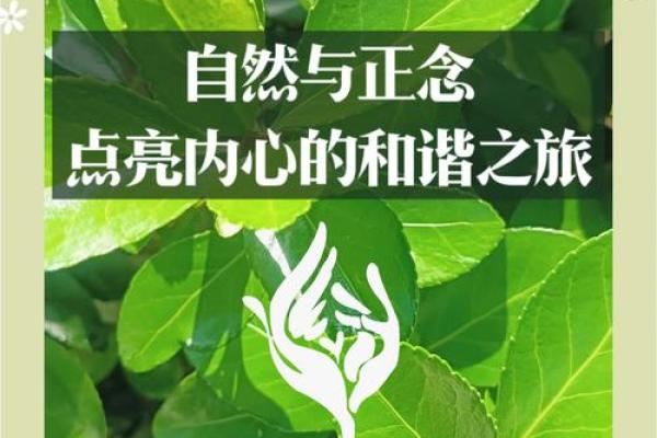 探寻童子命的奥秘：命运与自我内心的和谐之旅