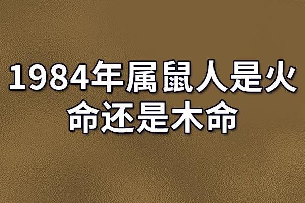 灵鼠之年：1984年出生鼠命运与性格解析