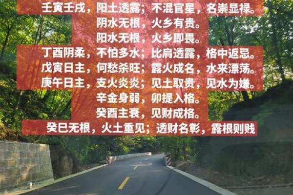 解析木命八字：如何识别木命人的命理特征与运势影响