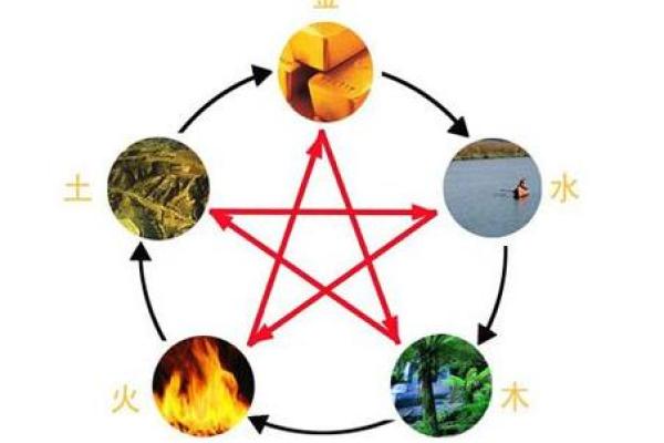 探寻木命之道：如何通过五行属性提升财运
