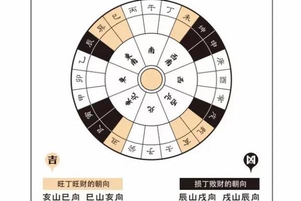 水命人士适合的摆式选择与风水布局探讨
