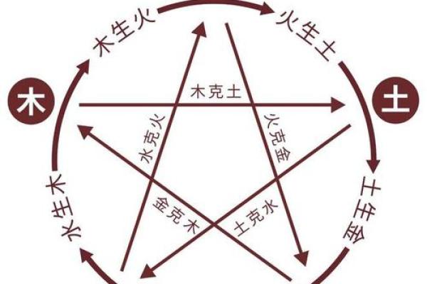 松柏木命与不和之道：探索相生相克的命理奥秘
