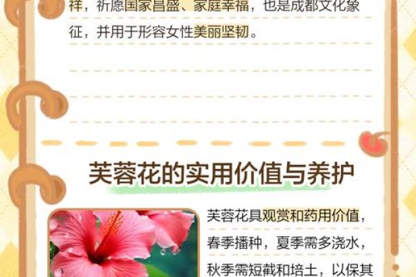 探秘芙蓉命：生命中的美丽花语与深刻寓意