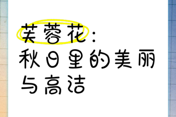 探秘芙蓉命：生命中的美丽花语与深刻寓意