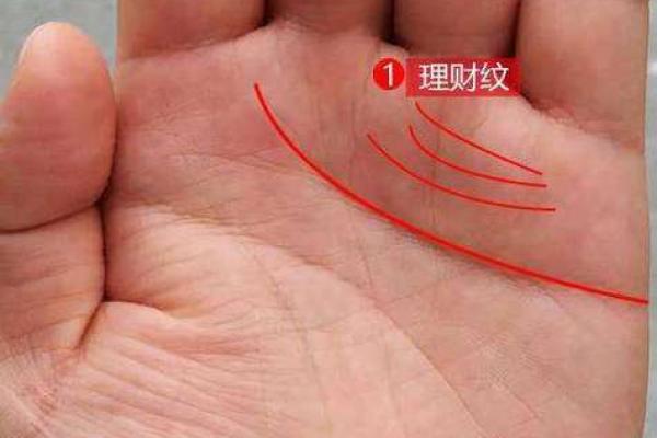 手相揭秘：看懂你的命运，探索成功与幸福的奥秘！