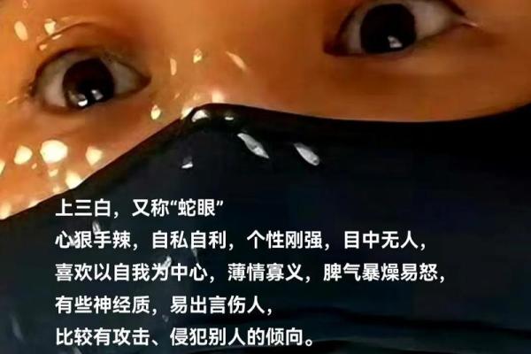 自私的人命格解析：揭示内心深处的阴暗与光明