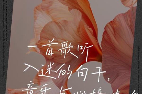 用我的命换你的命，这首歌的心灵共鸣