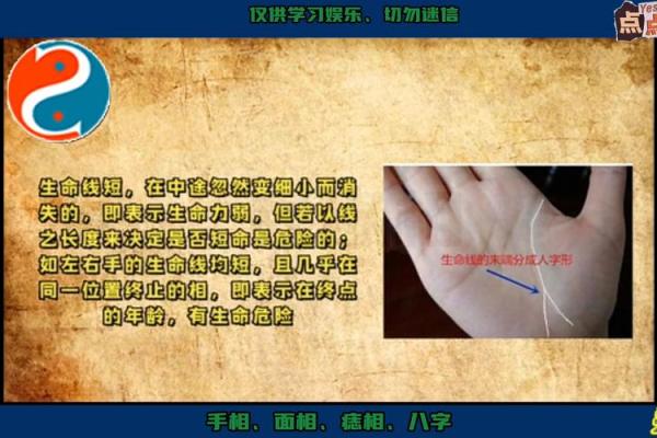手指与短脚指：揭示命运的秘密与个性解读