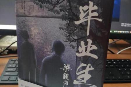 1995年腊月十七的故事：命运与选择的交响曲