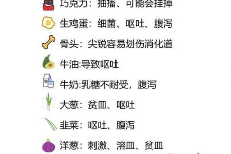 2006年狗年出生的人命运影响与性格分析