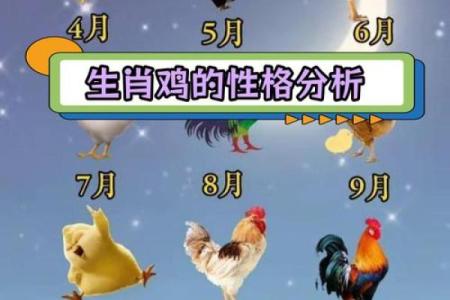 1979年属鸡的命理分析：探索命运与性格的深层次解读