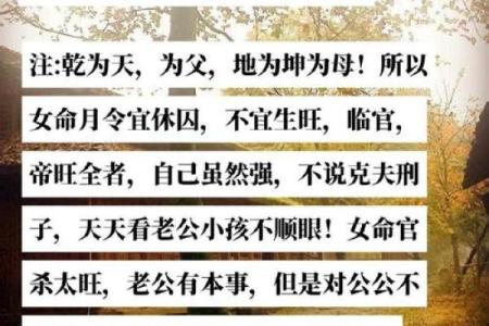 合婚乾坤命：探索人生命运的奥秘与智慧