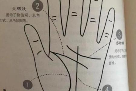 手掌面的手纹解密：命运之线与人生轨迹的秘密