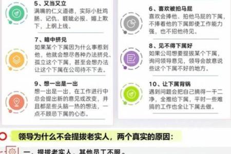 强木命者适合从事什么工作？揭秘适合你的职业方向！