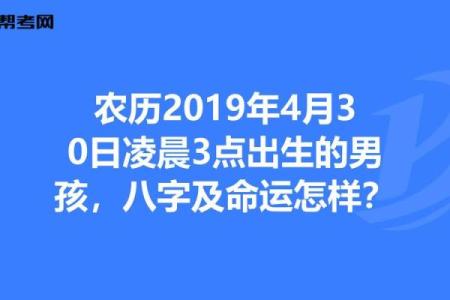 探究农历己卯年：命理中的元素与人生启示