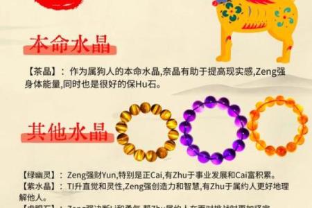 1994年属狗女生的命运与性格分析：优雅与智慧并存的她们