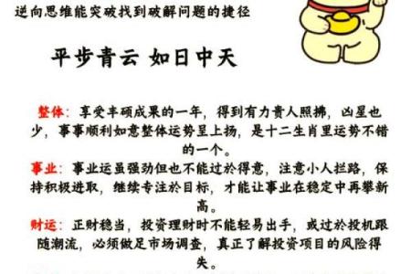 2021年属鼠运势全解析：命理与生活的完美结合